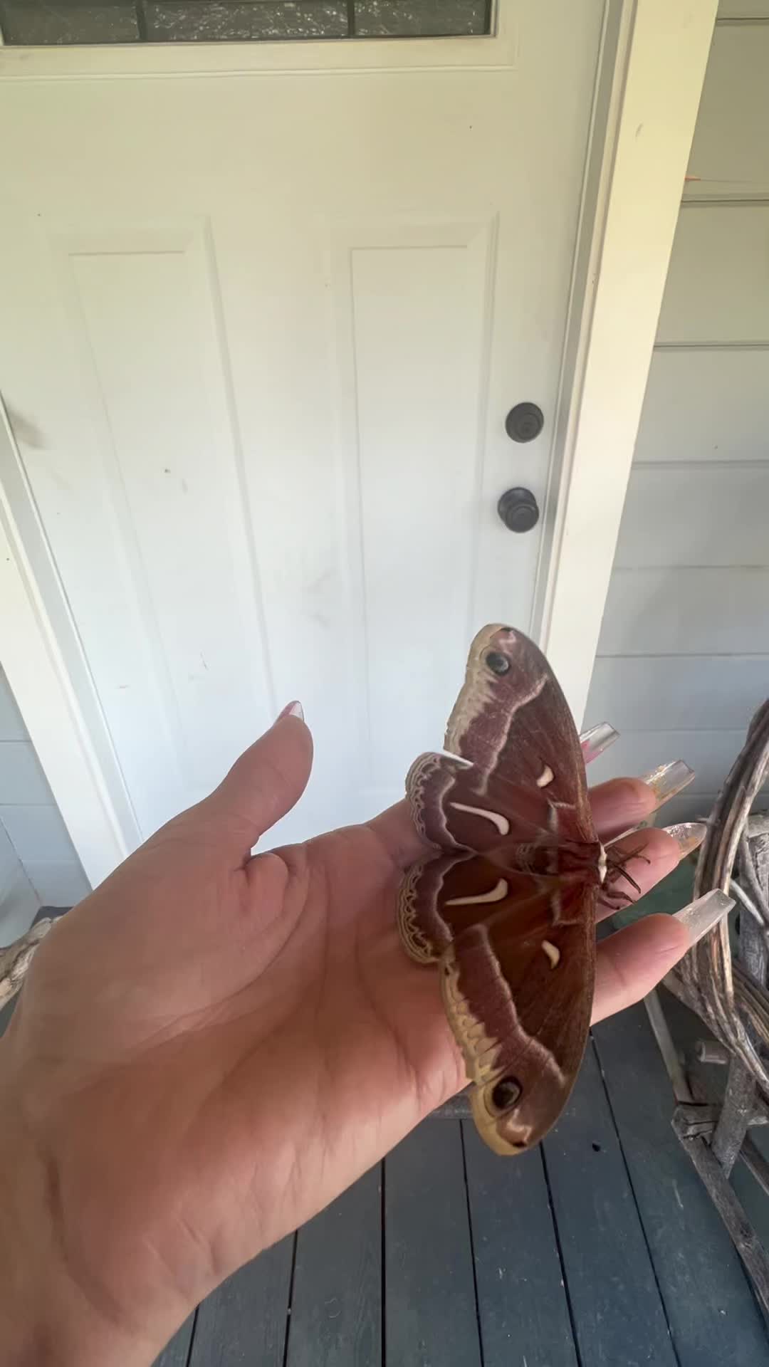 @🐍YAMUNA🧿JUANEITA🐊