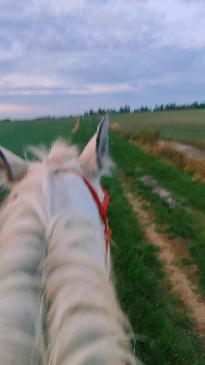 @tam.het.za.lasem