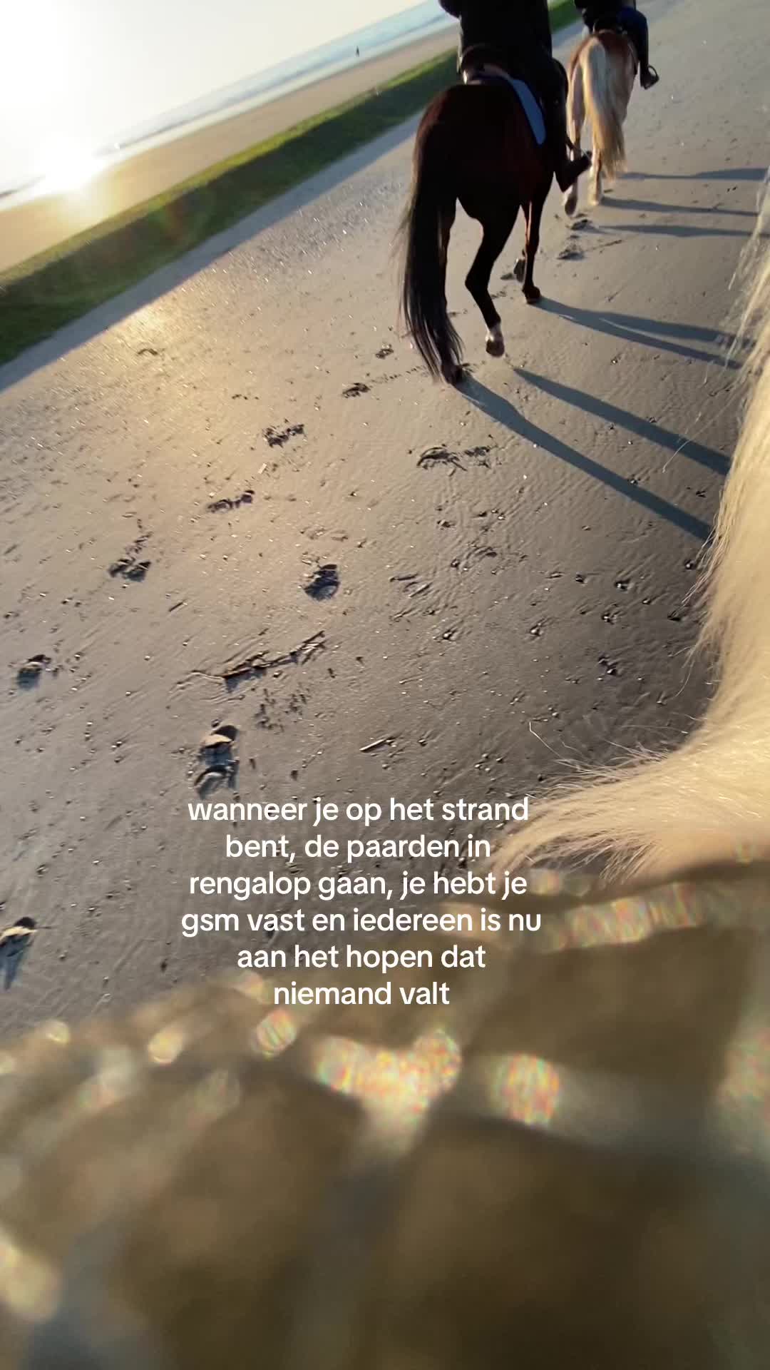 @𝓪𝓷𝓪𝓮𝓵𝓵𝓮