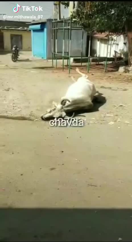 @kishancsolanki963