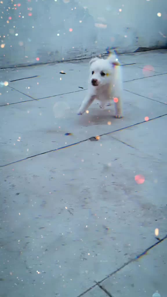 @ďhàŕâń mëčhøňž