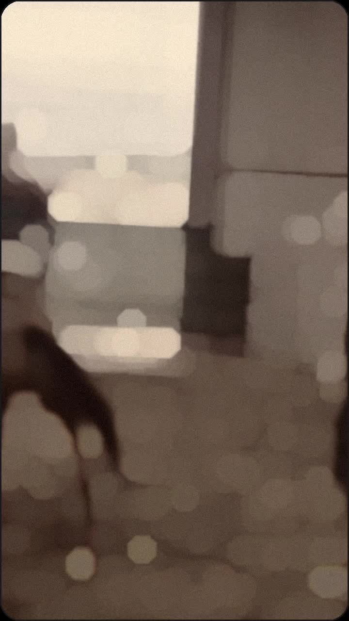 @💯 •∆m∆nd∆• 💯
