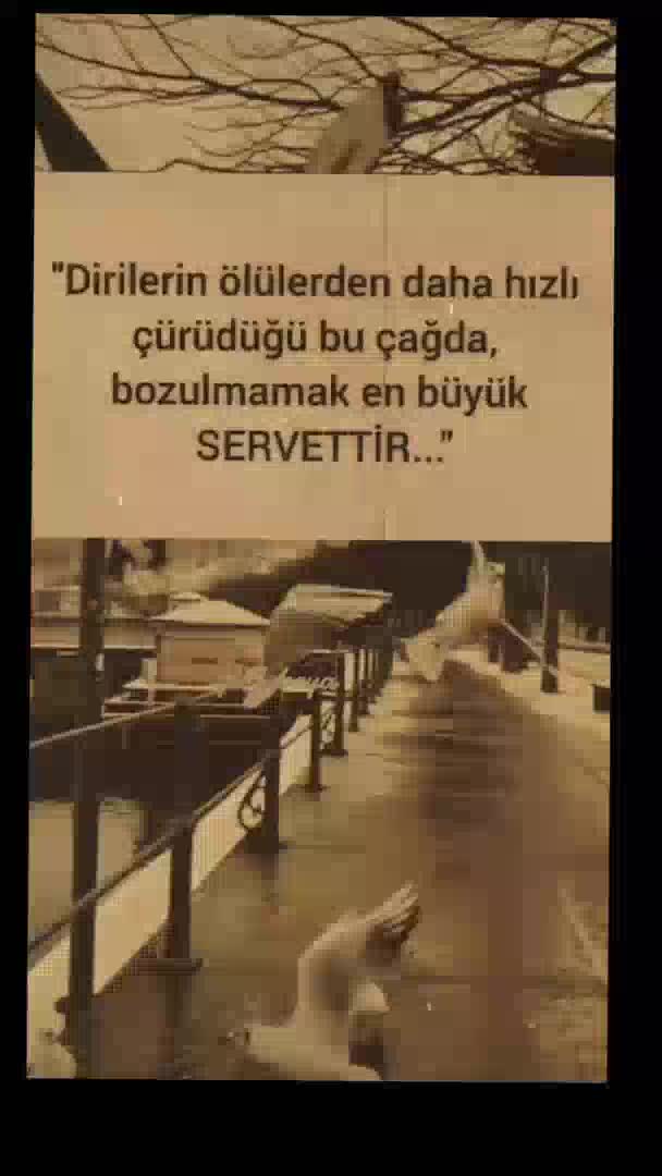 @🇹🇷Gazi m&uuml;cahit ko&ccedil;ak🇹🇷