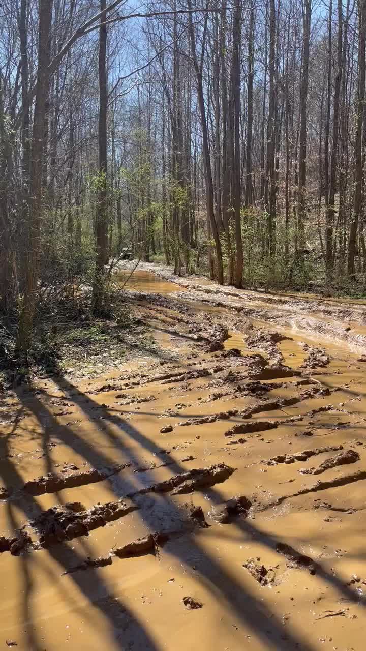@XJ_Barkley
