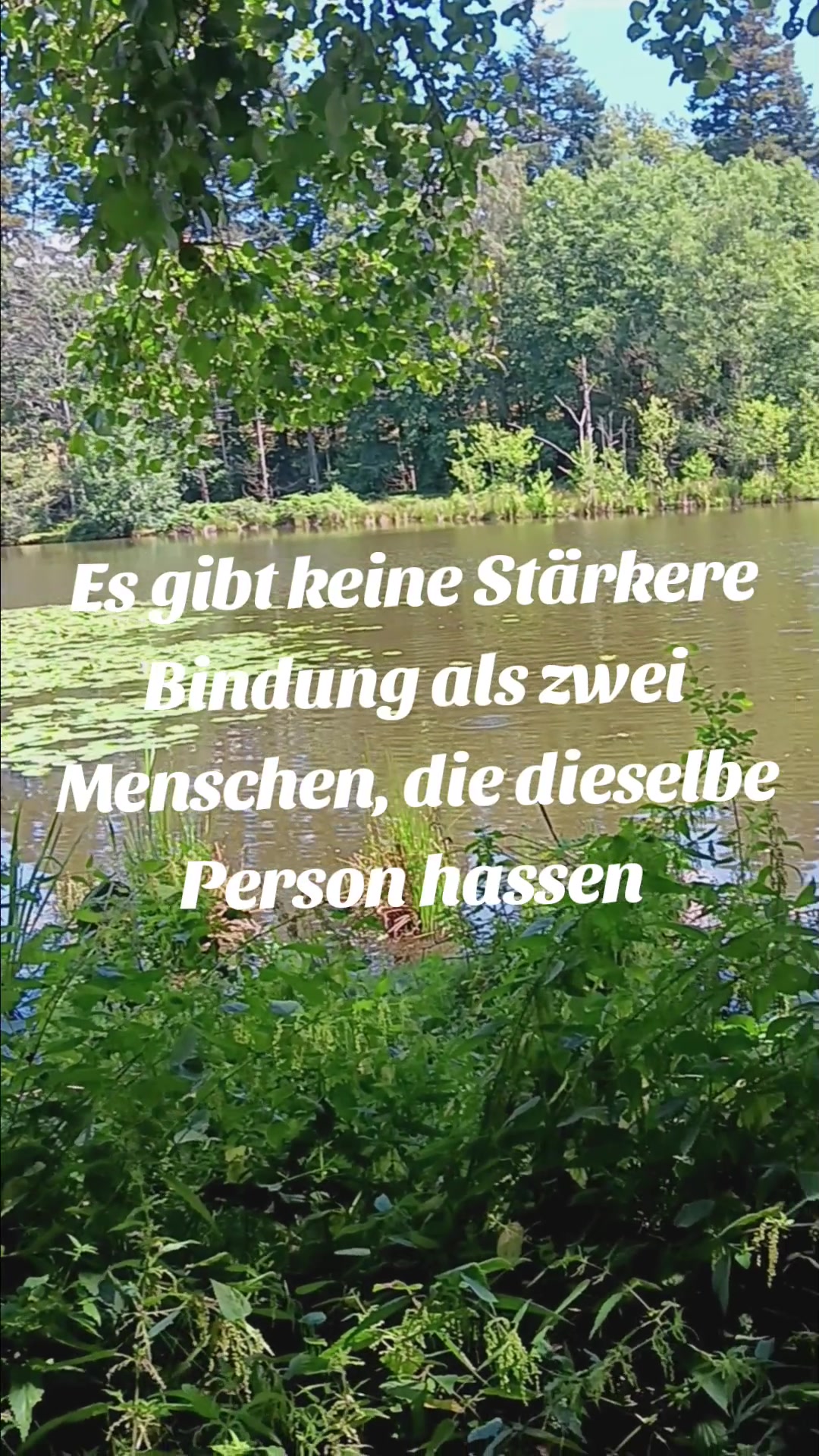 @Fragen.und.Antwort