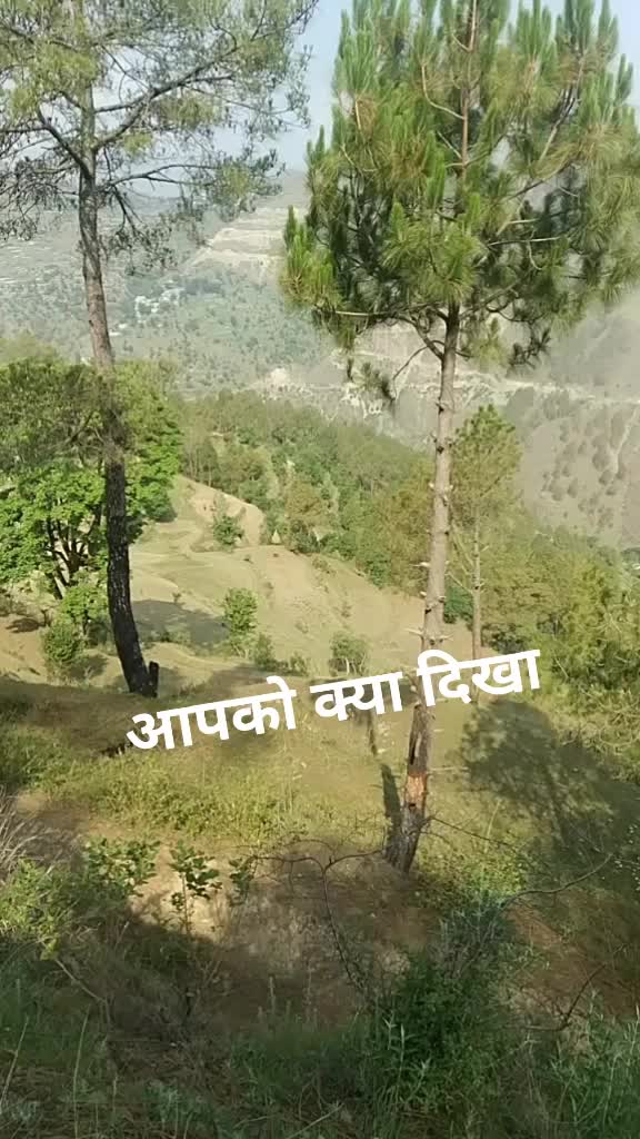 @oye pahadi🔥