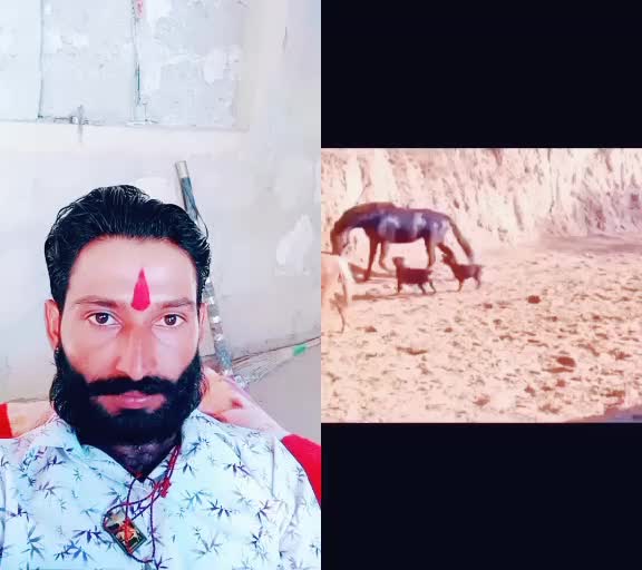 @user419413207094