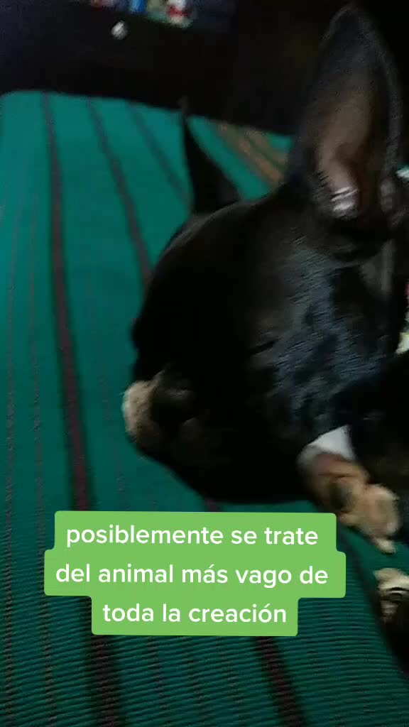 @Michael Gómez