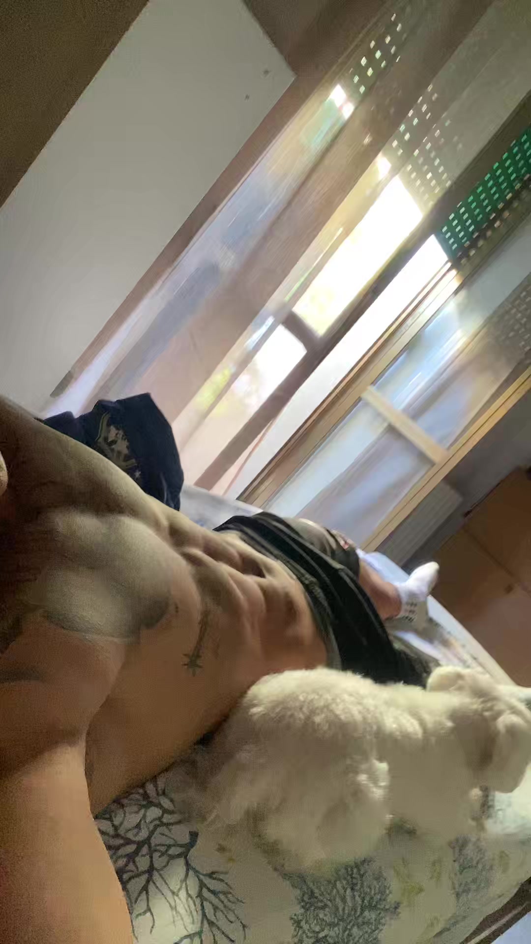 @Nonsonoalessandrotedesco