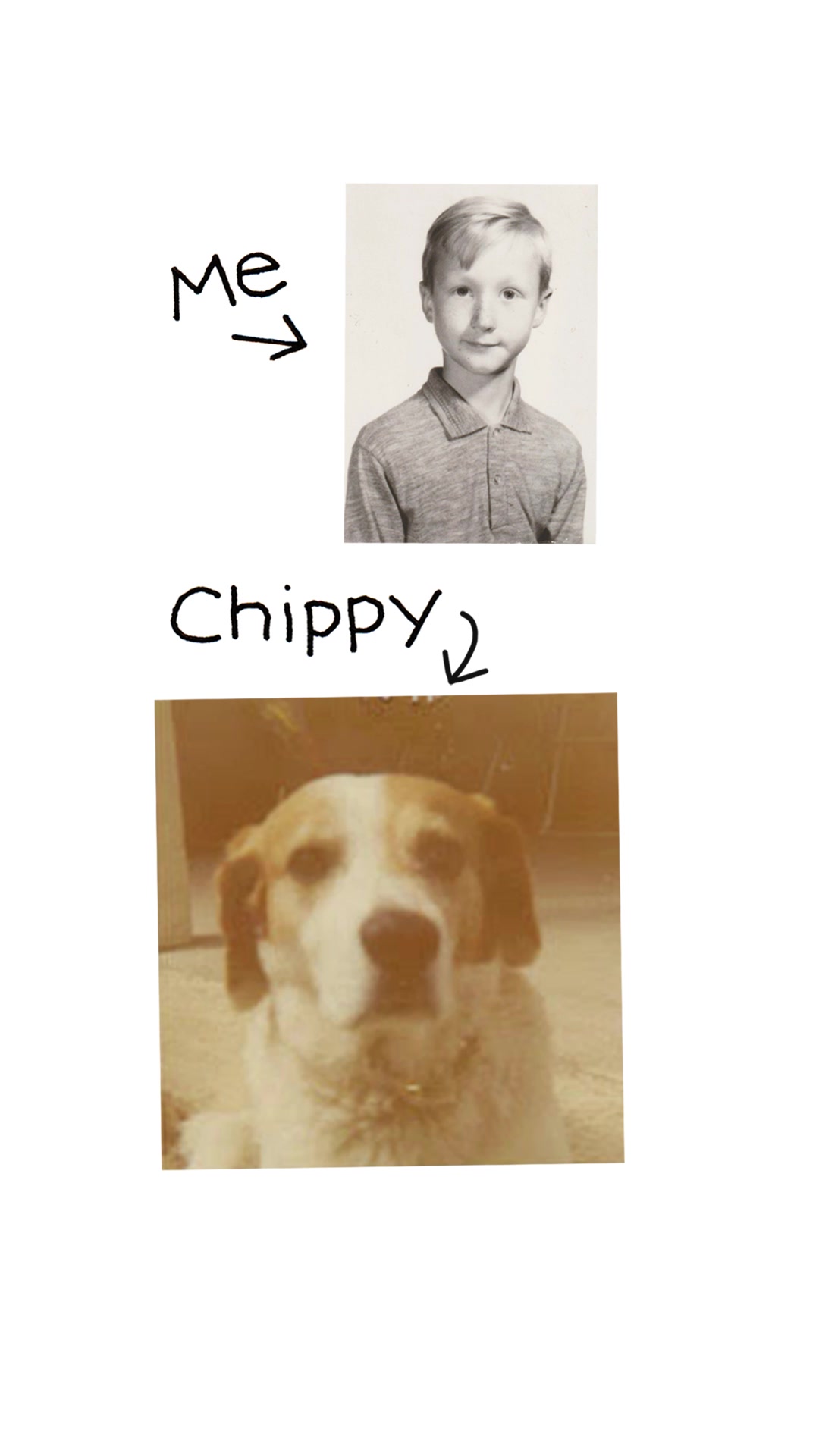 @Chippy the Dog