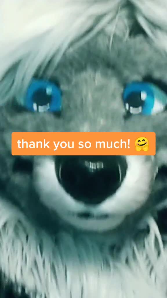 @Cassidy Civet has new songs?!