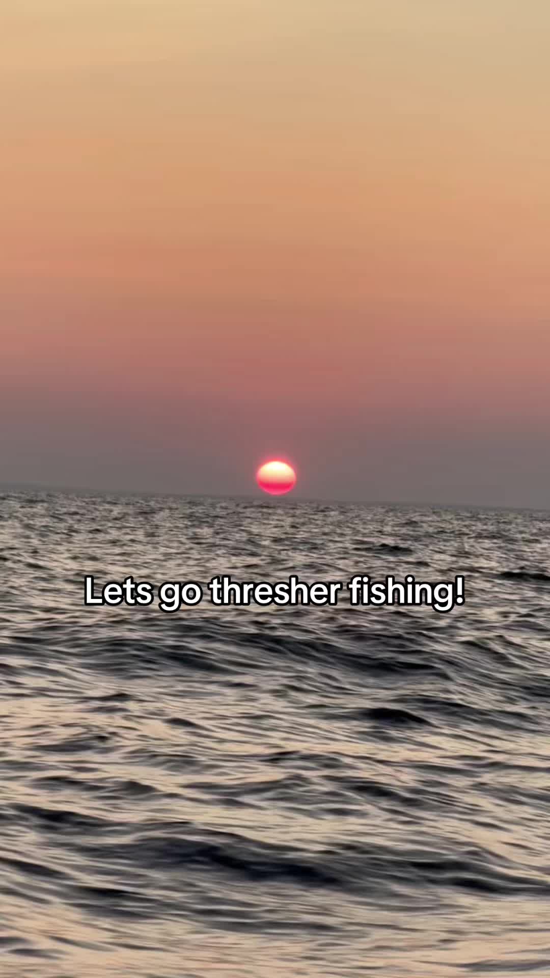 @Long Island Sound Fishing 🐟