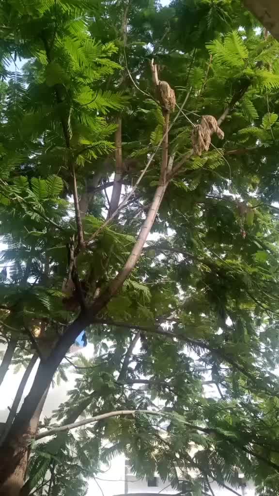 @user563093