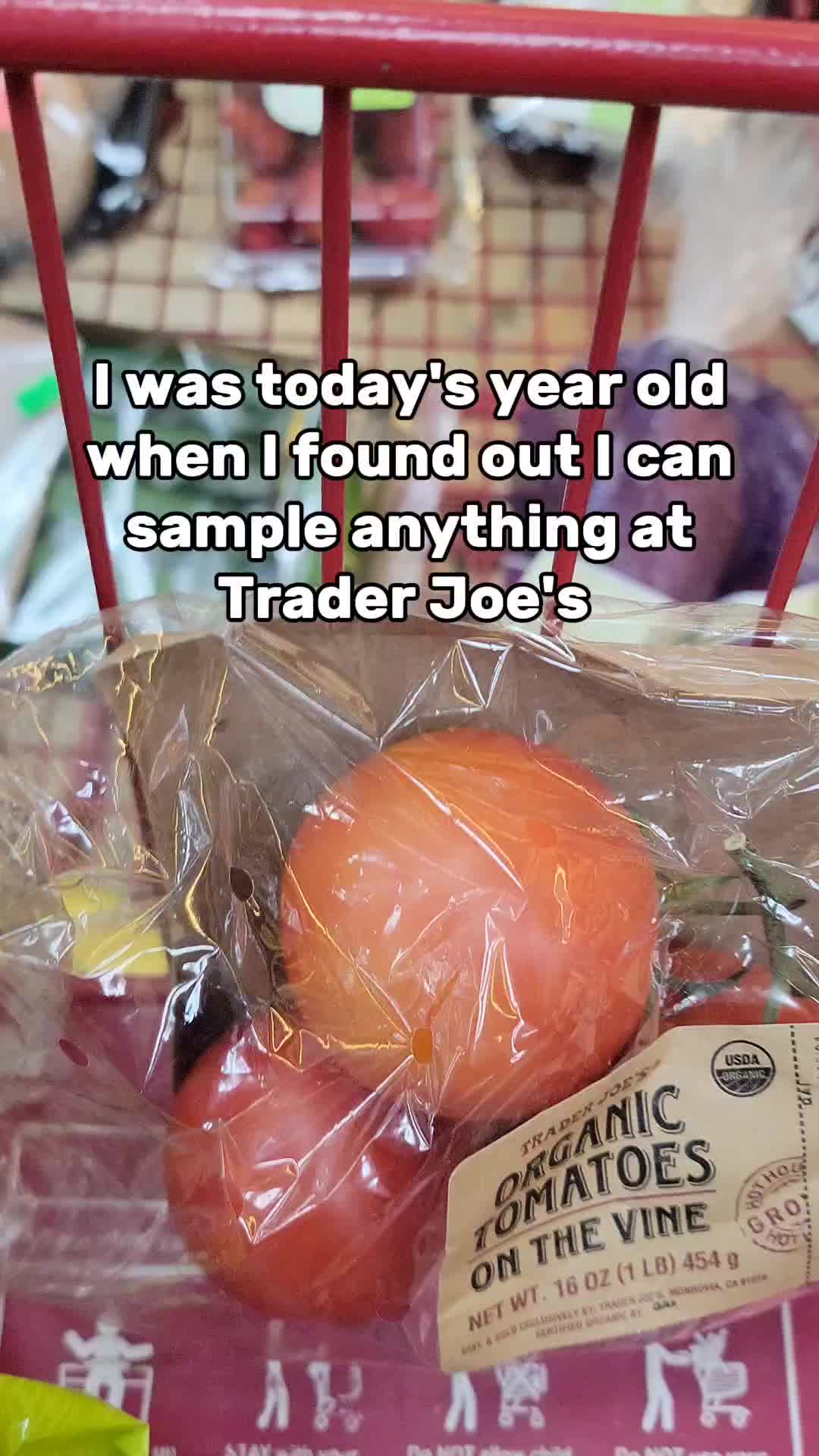 @Katt | Relatable Foodie