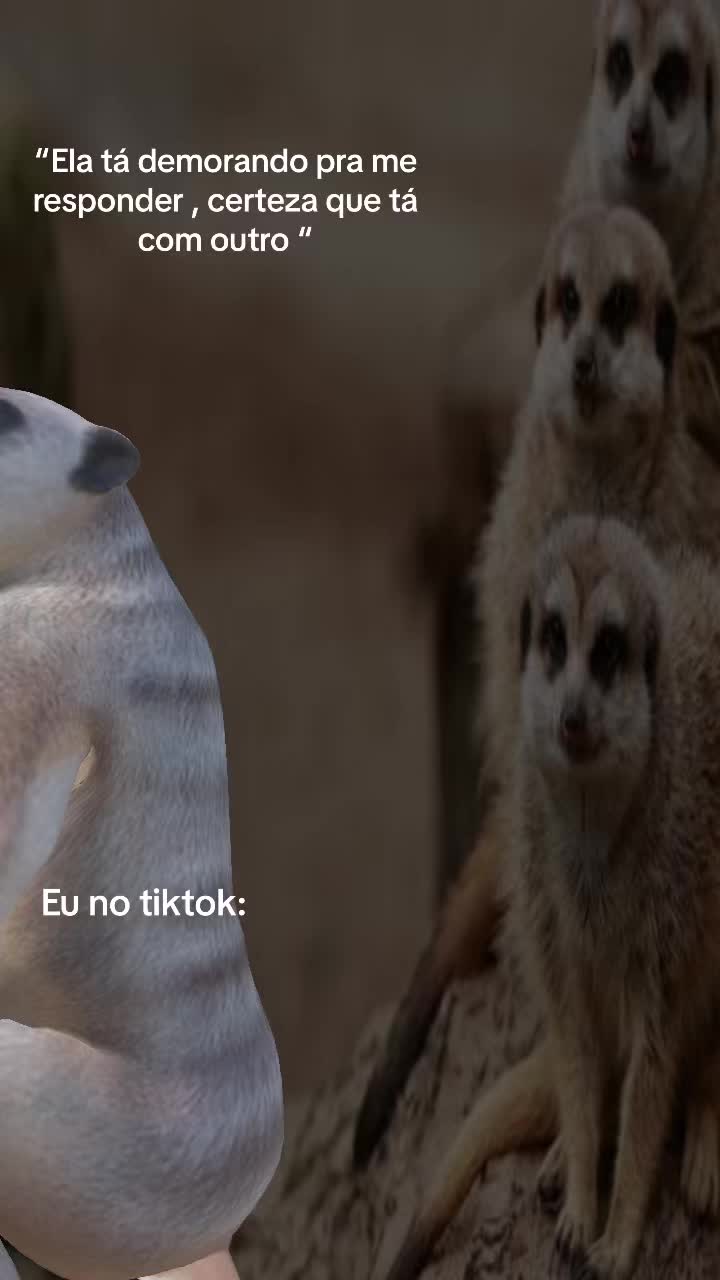 @Carol Torcato