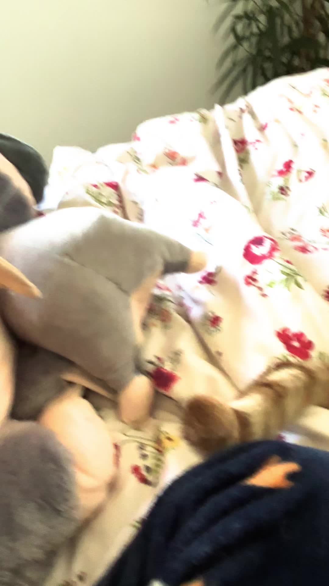 @Maya✦