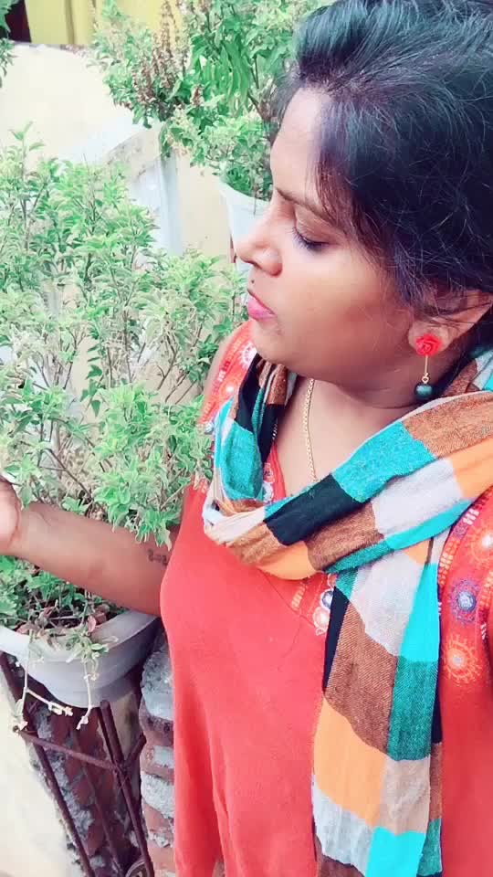@Jenima Raja