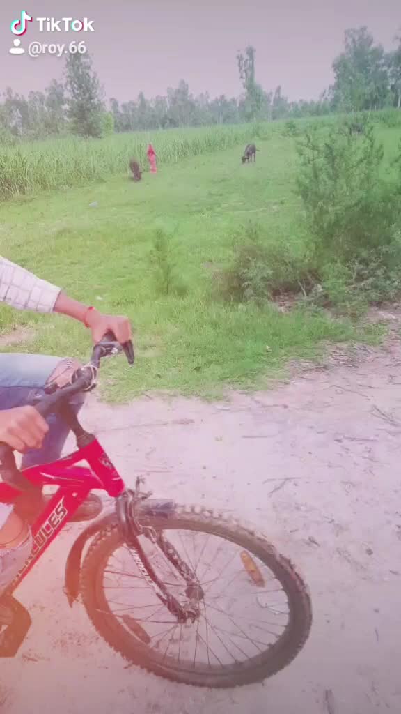 @Labi Roy