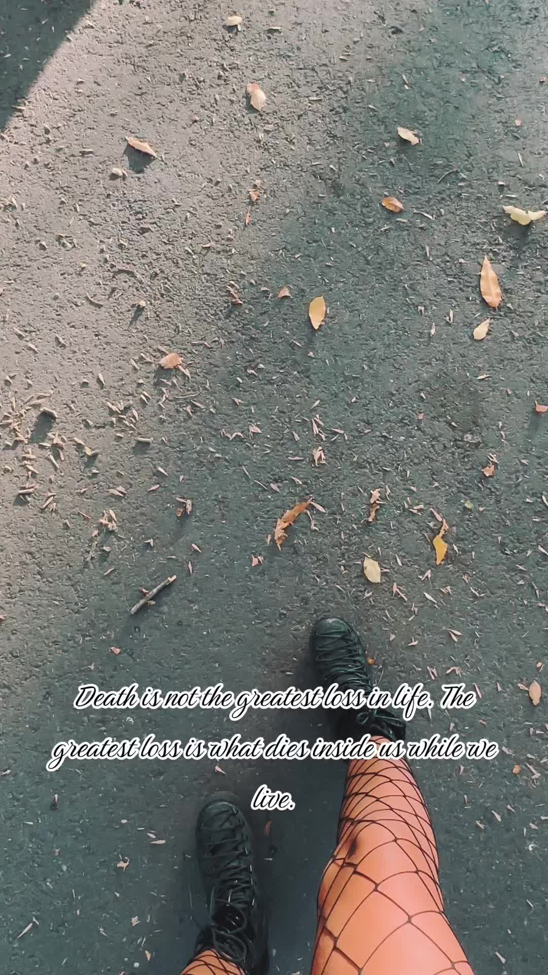 @Evola_EvoX