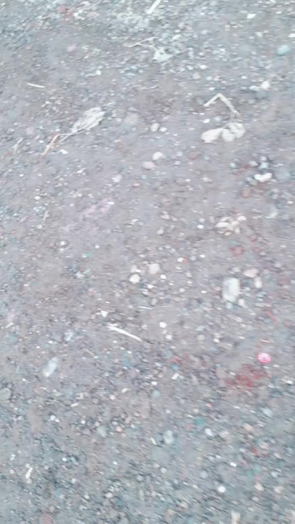 @आदिवासी वादळ टिम0016