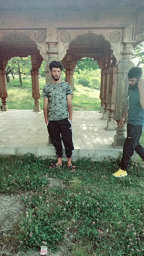 @yawar gull