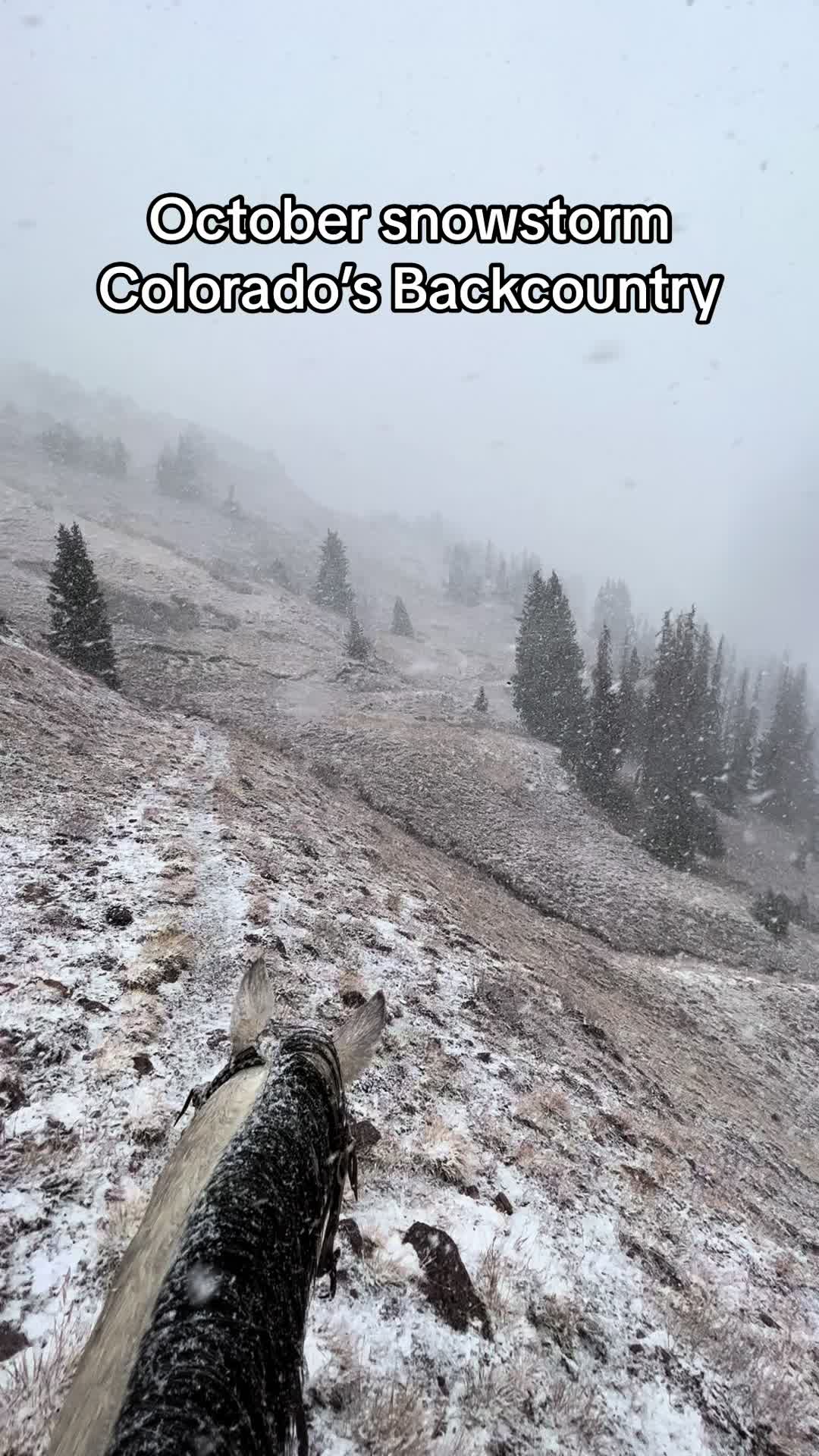 @ColoradoOutfitter