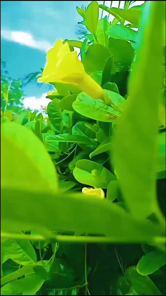 @💙.Notty__Rohit.🙏