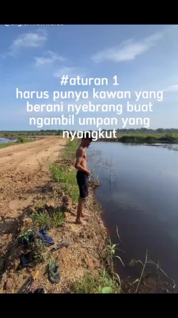 @Aril