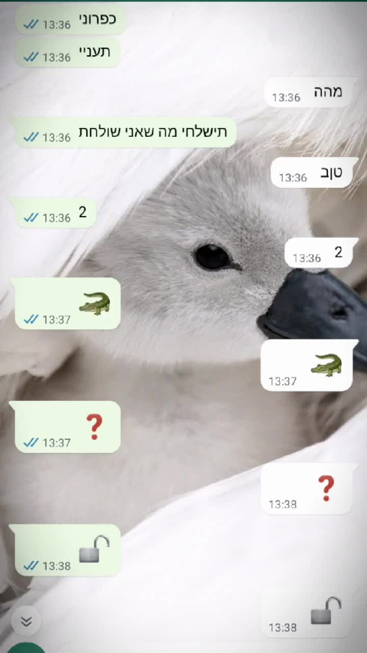@🤍ליאור❤️