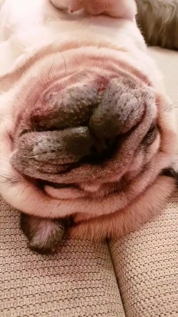 @Ольга