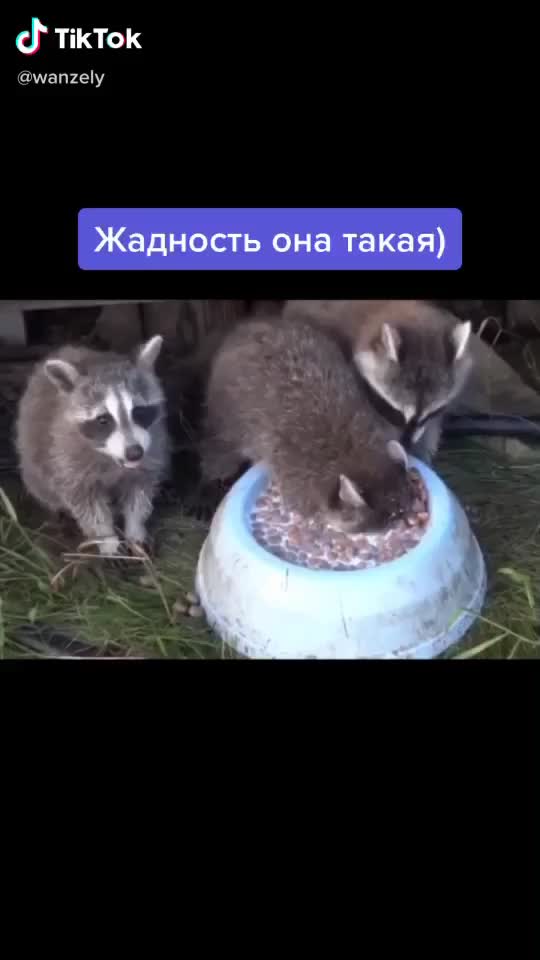 @ВК