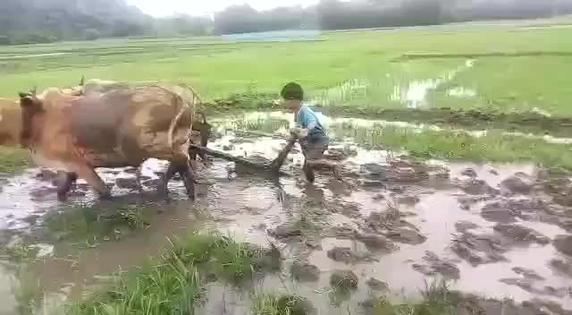 @user71274233922