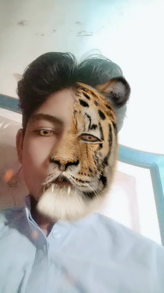 @user9204513376784