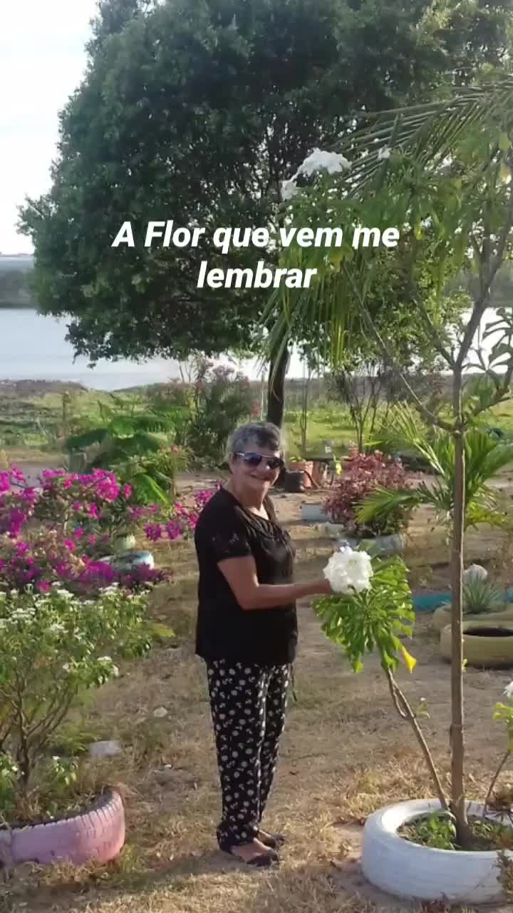@Em&iacute;liaMariaMartinsDeOliveira