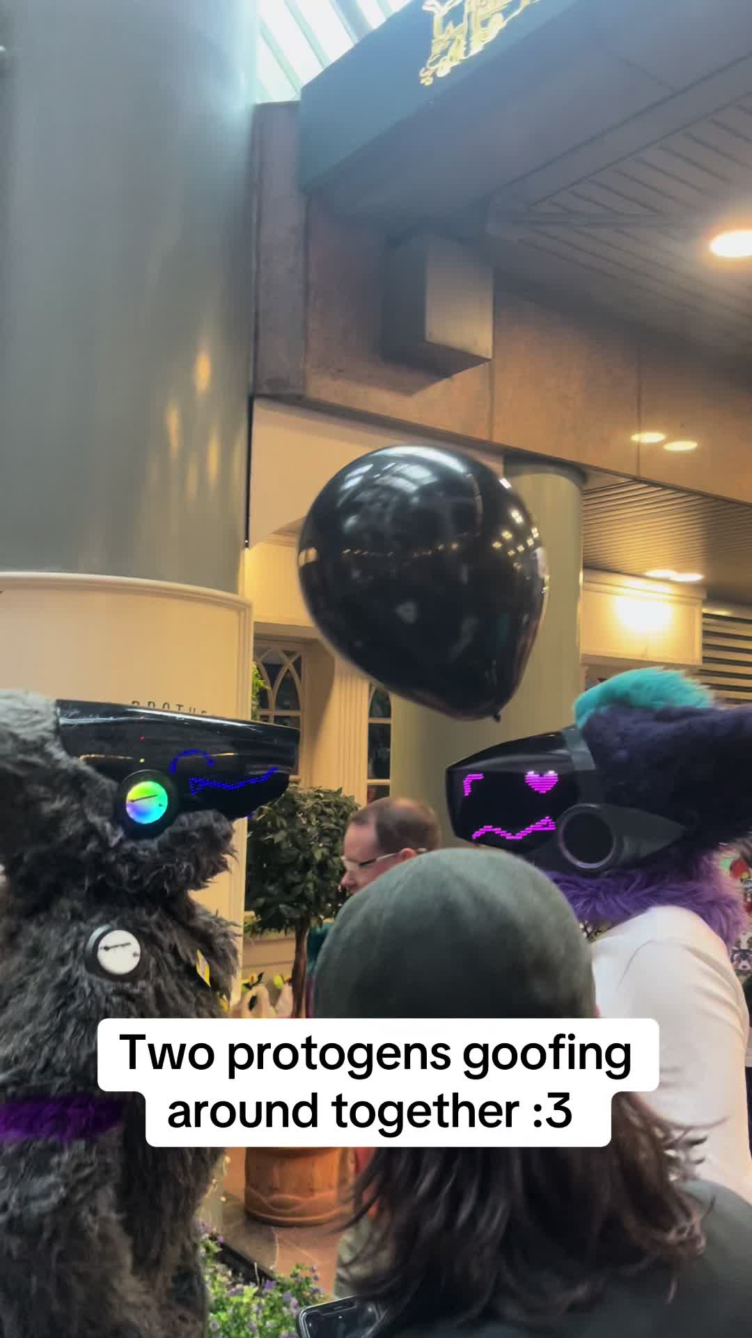 @Nightphin