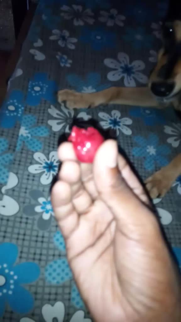 @Ahalya Santhosh