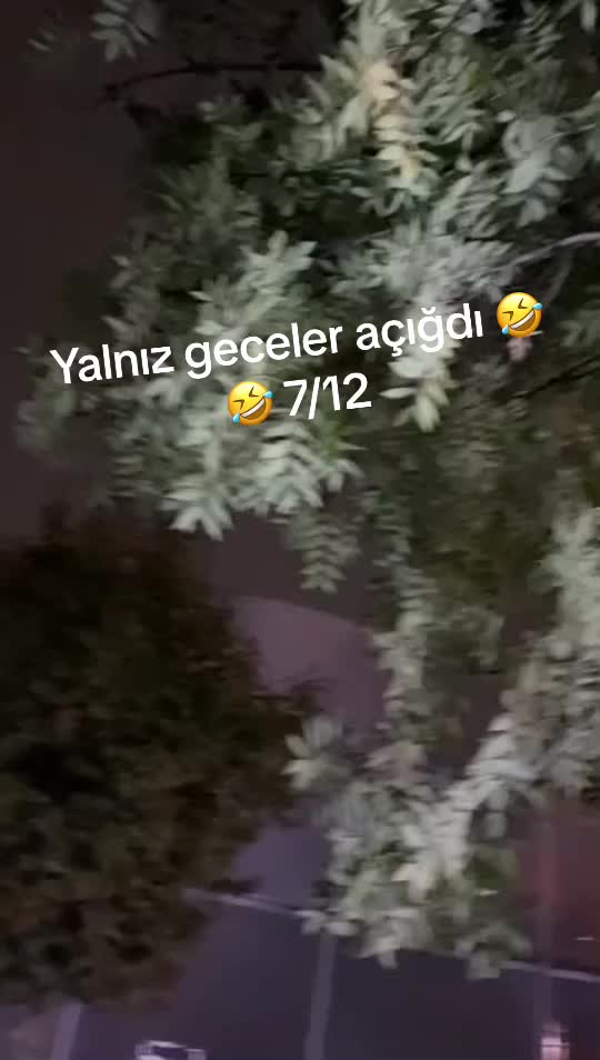@NUR_313