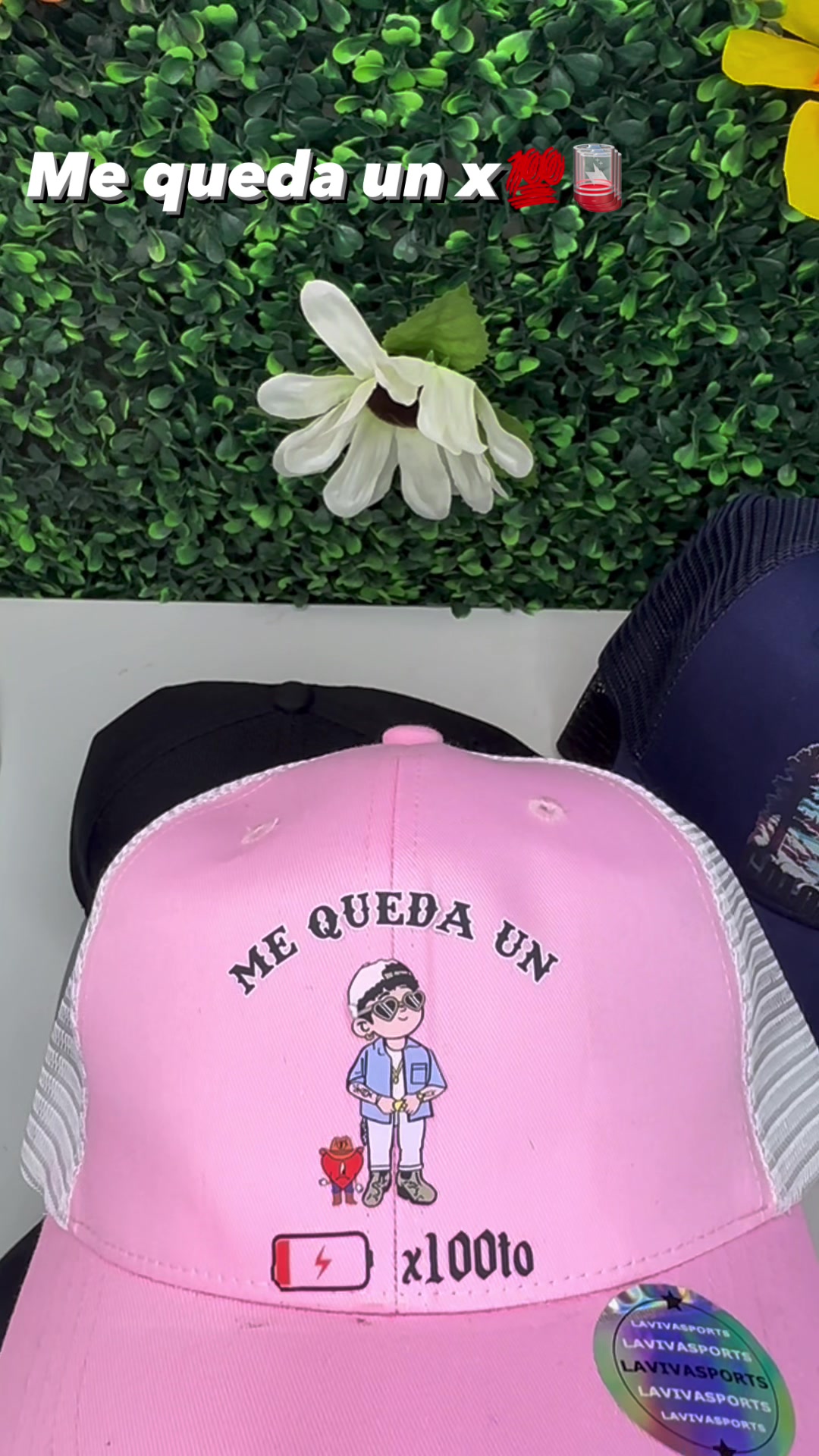 @lilyqueens1318