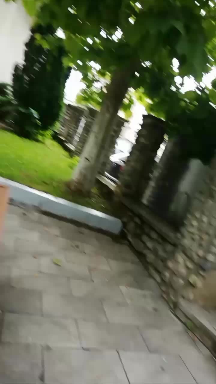 @pitica ta