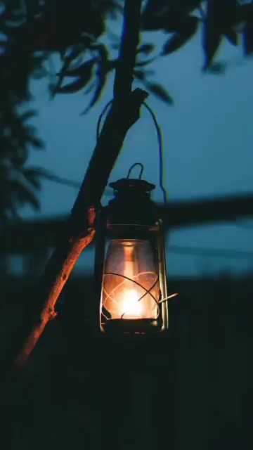 @user20831596725