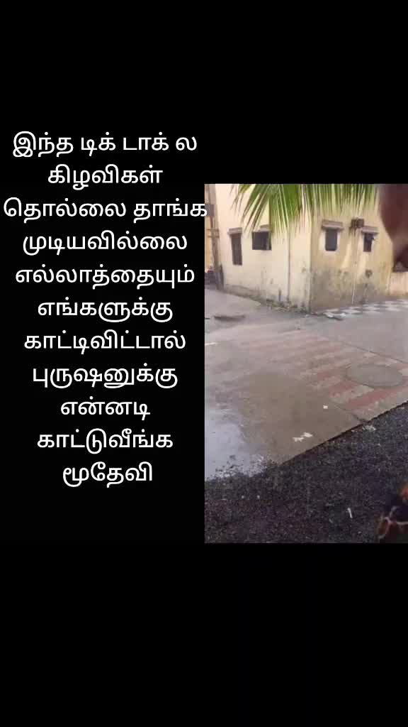 @shalini77 77