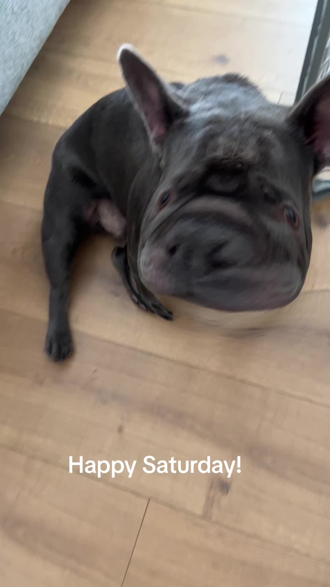 @Shaq Diesel