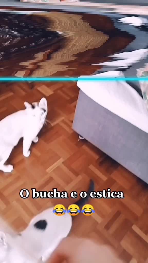 @Diana Reis