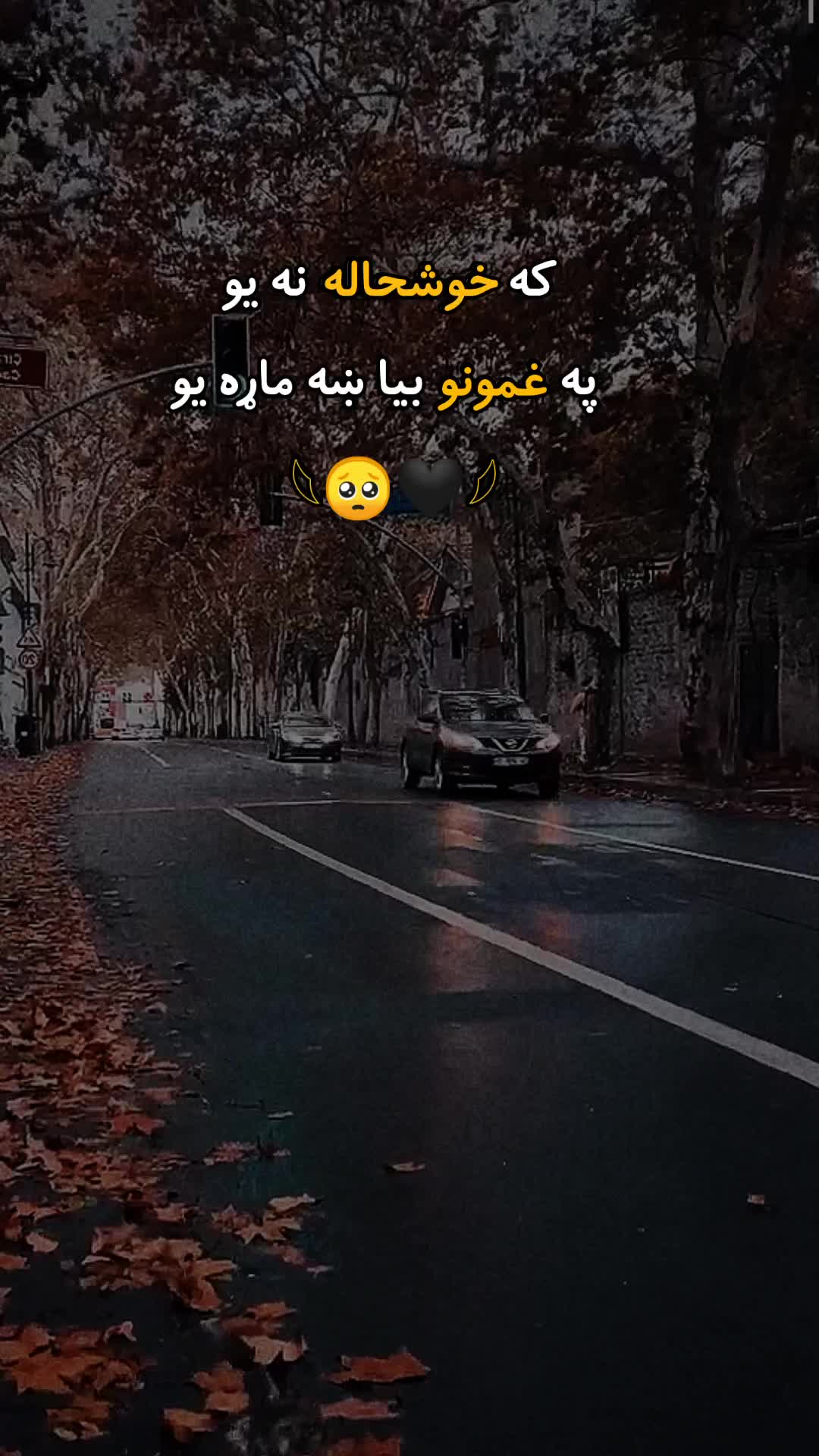 @𓆩 دَردمن زَلمی 𓆪