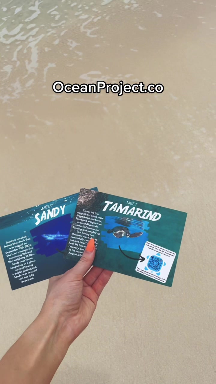@Ocean Project