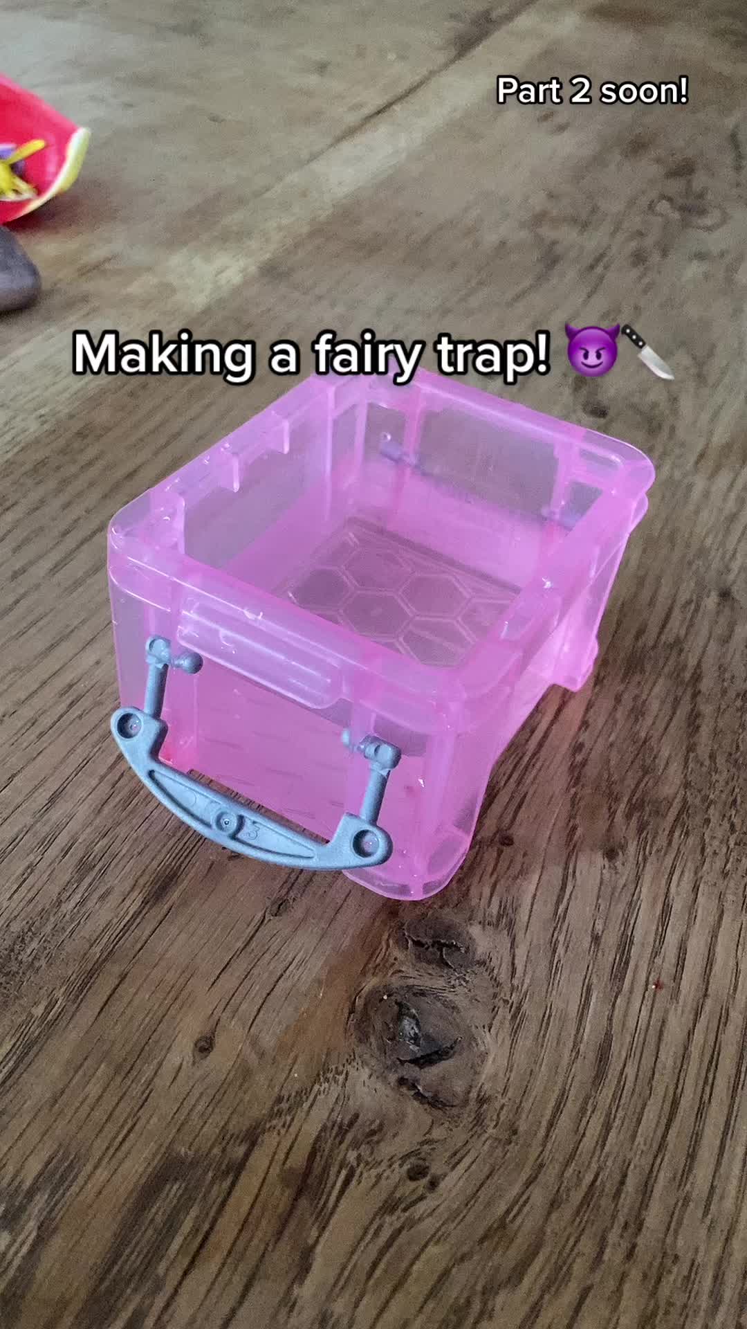 @Fairy Hunter