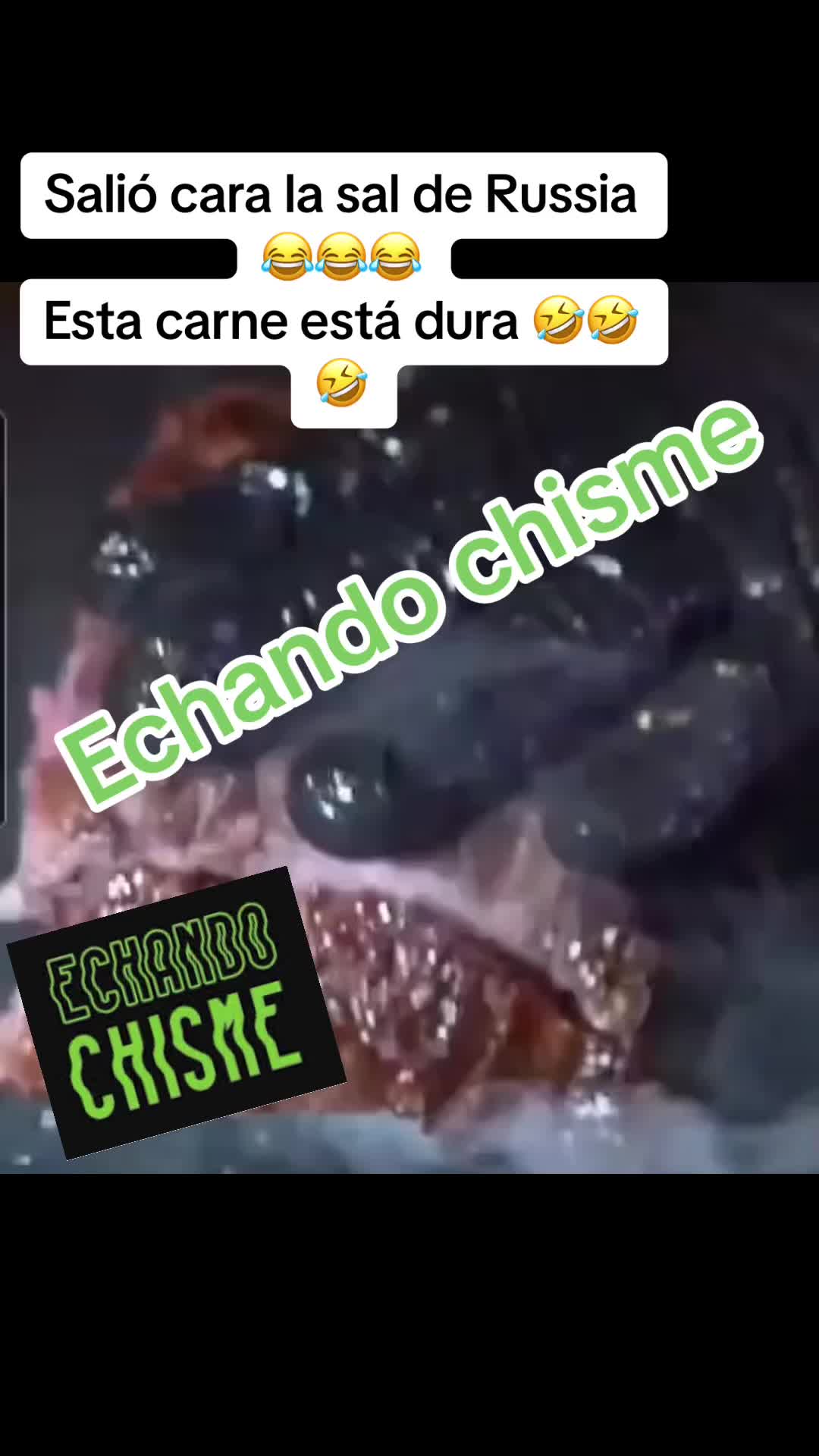 @Echando Chisme
