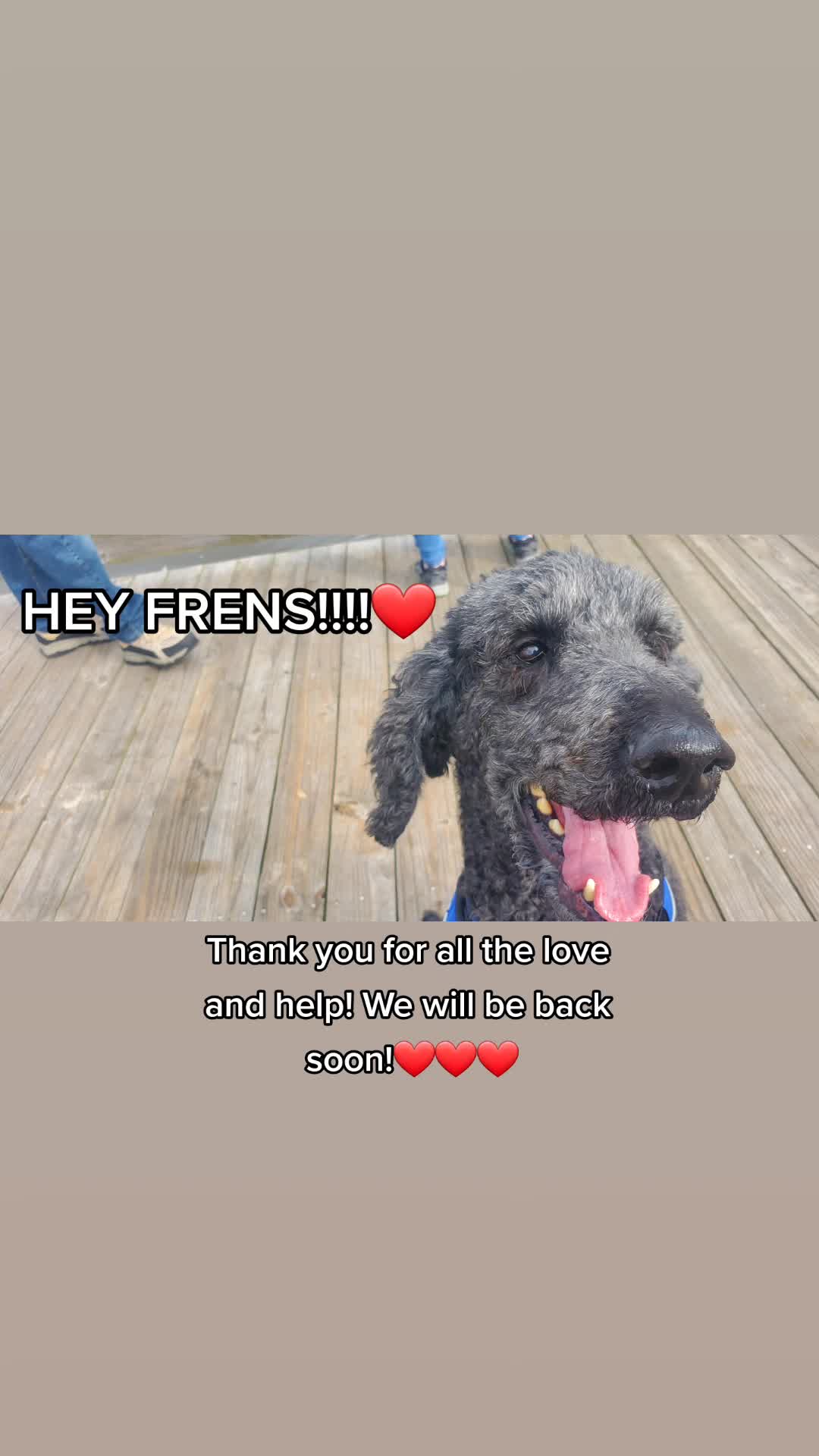 @SammyDoodle🙂