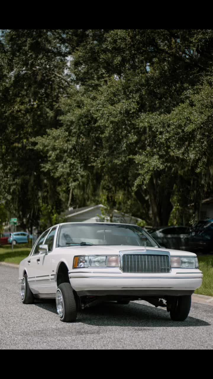 @1995dogmoney