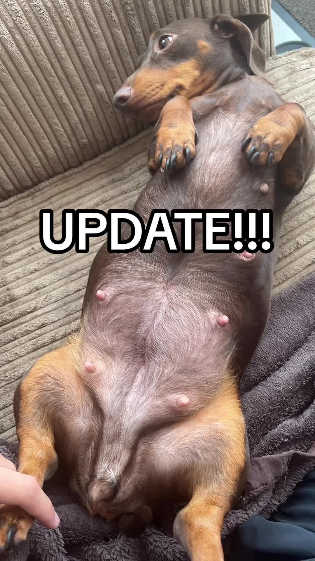 @rawfedASMR